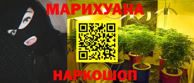 прущие грибы Кулебаки