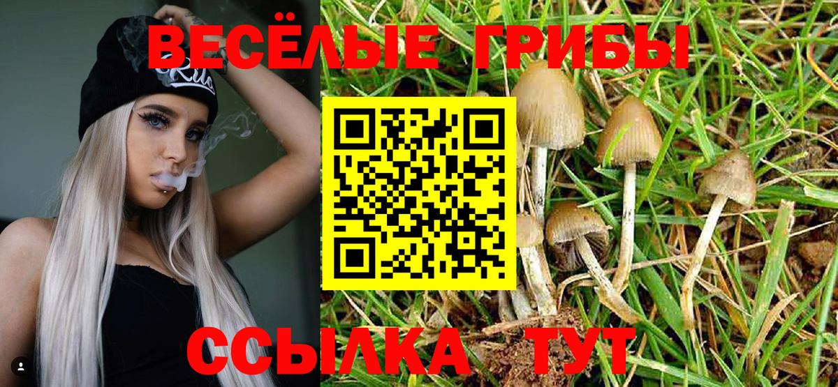 Галлюциногенные грибы MAGIC MUSHROOMS  Псилоцибиновые грибы Psilocybe  Вышний Волочёк  Вход с VPN 