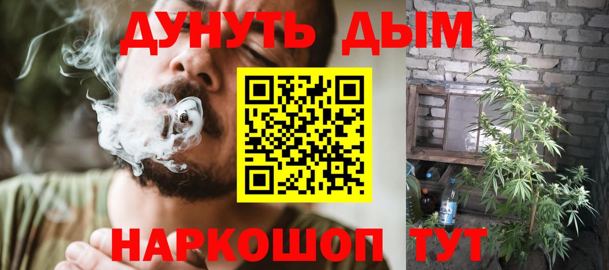 Марихуана сатива Вышний Волочёк